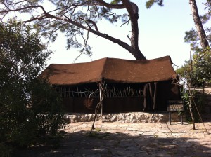 A tent in Yoruk Park