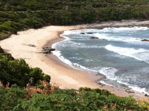 Beach on Great Ocean Road