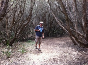 Bush-walking, Cape Otway, the Great Ocean Road