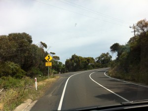 Driving on Great Ocean Road