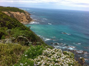 Touring the Great Ocean Road, Australia
