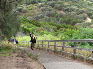 Tower Hill Game Reserve, the Great Ocean Road