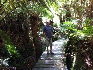 Walking in Mait's Rest, the Great Ocean Road, Australia