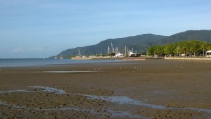Low tide and the harbor