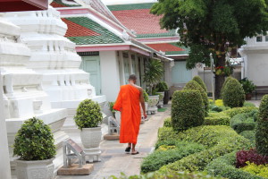 Monk in Bangkok