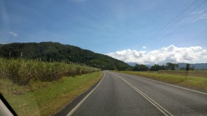 Sugar cane fields, Queensland