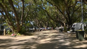 Wonga Beach Camping, Daintree National Park