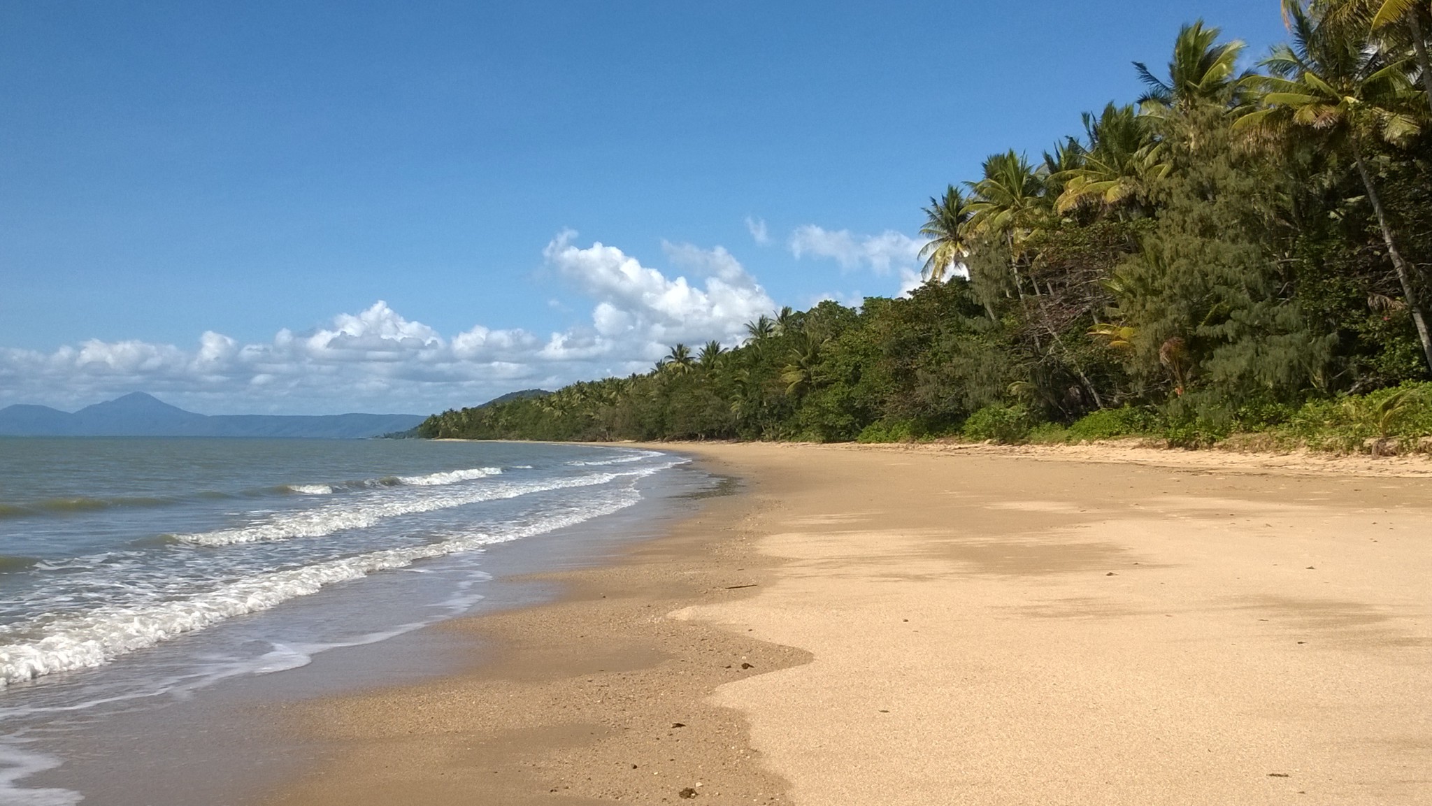 Wonga Beach, Daintree National Park Wonga Beach, Daintree National Park
