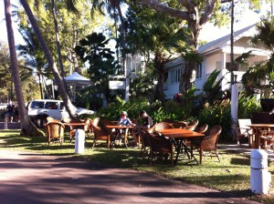 A view of Palm Cove, Cairns to Daintree
