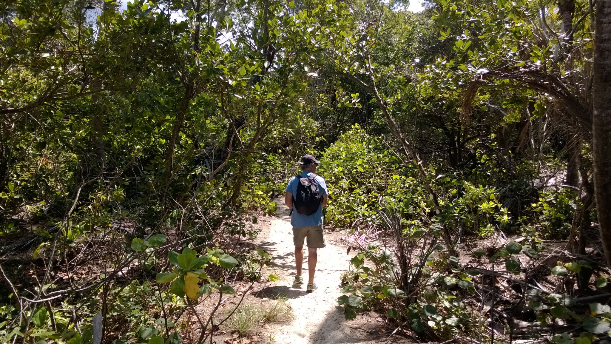 Kuliki Walk, Cape Tribulation