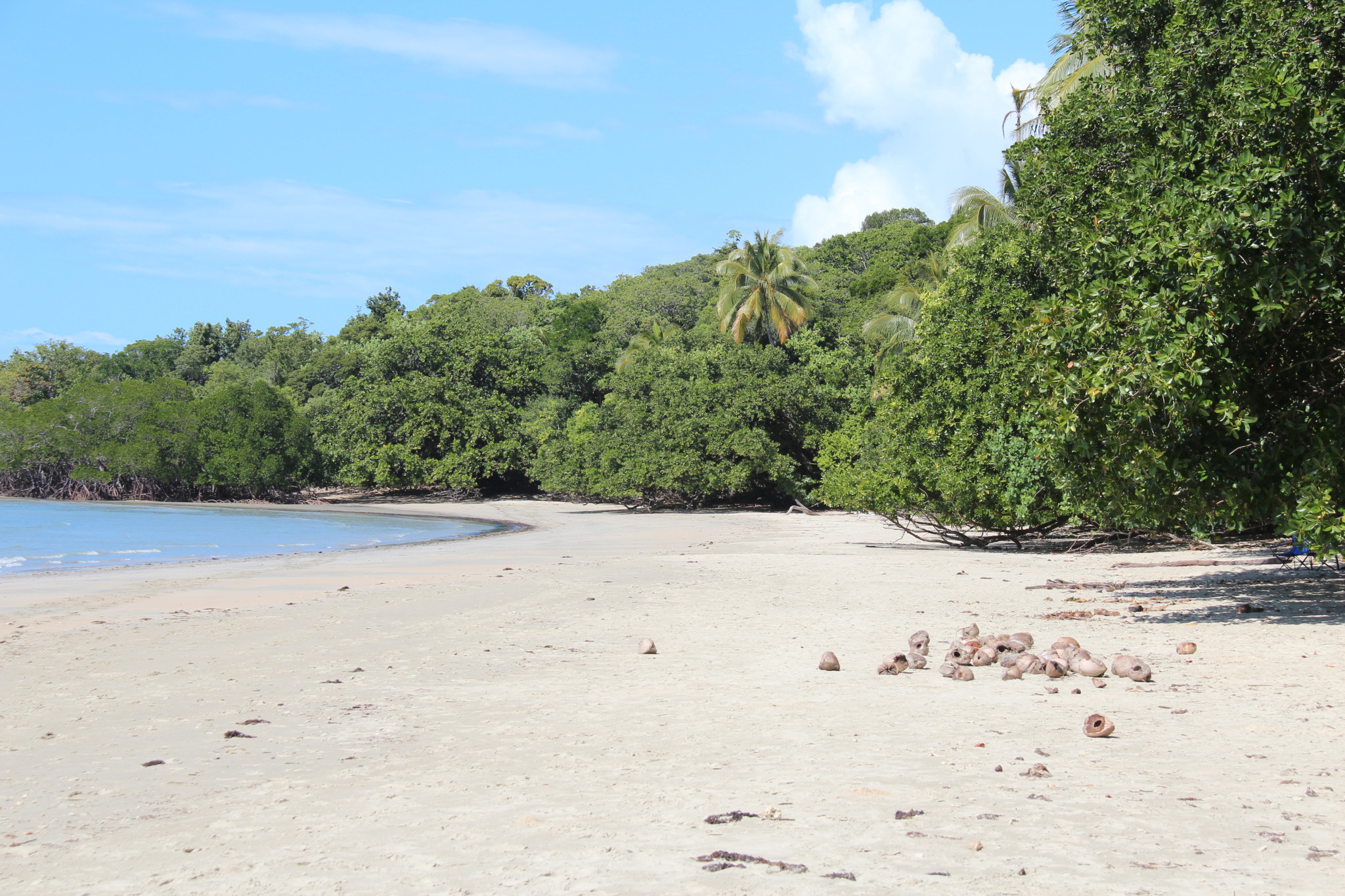 Myall Beach, Cape Tribulation