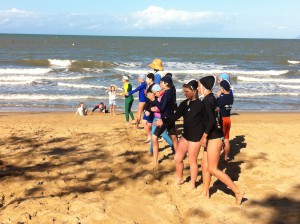 Competition, the beach of Palm Cove