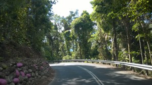 Self drive trip in the Daintree Rainforest