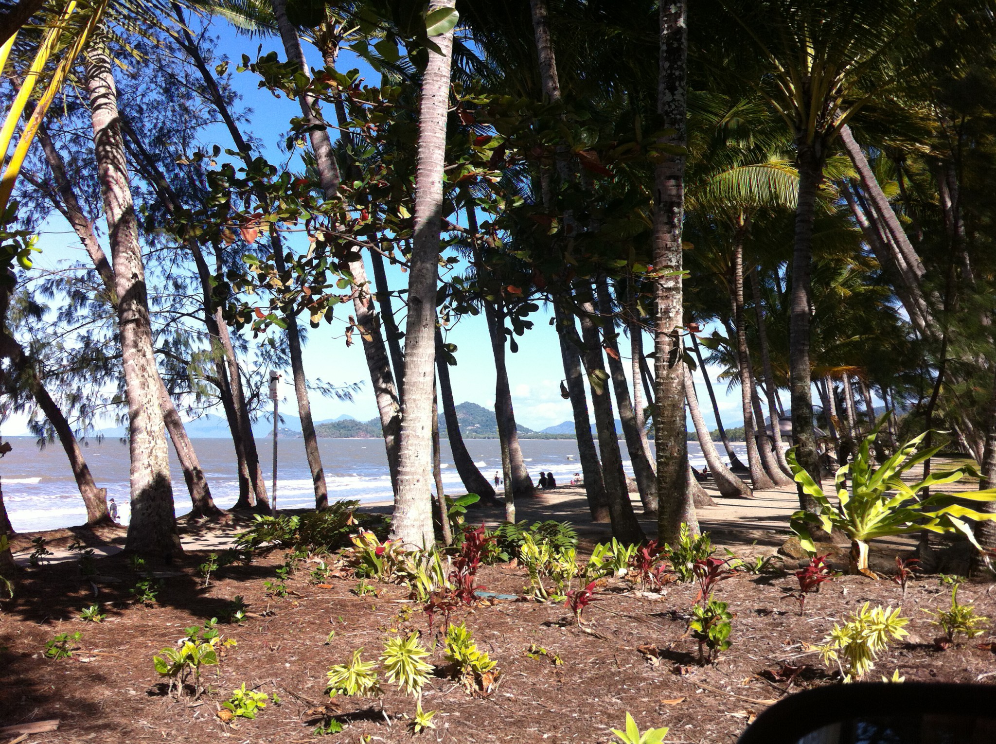 Palm Cove, Cairns to Daintree Palm Cove, Cairns to Daintree