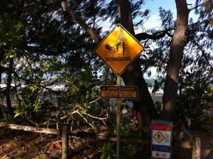Stinger warning, Port Douglas beach, Queensland