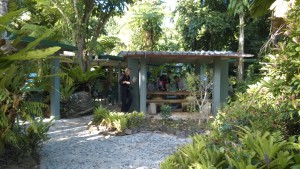 Tasting tropial ice cream, self drive trip to the Daintree Rainforest
