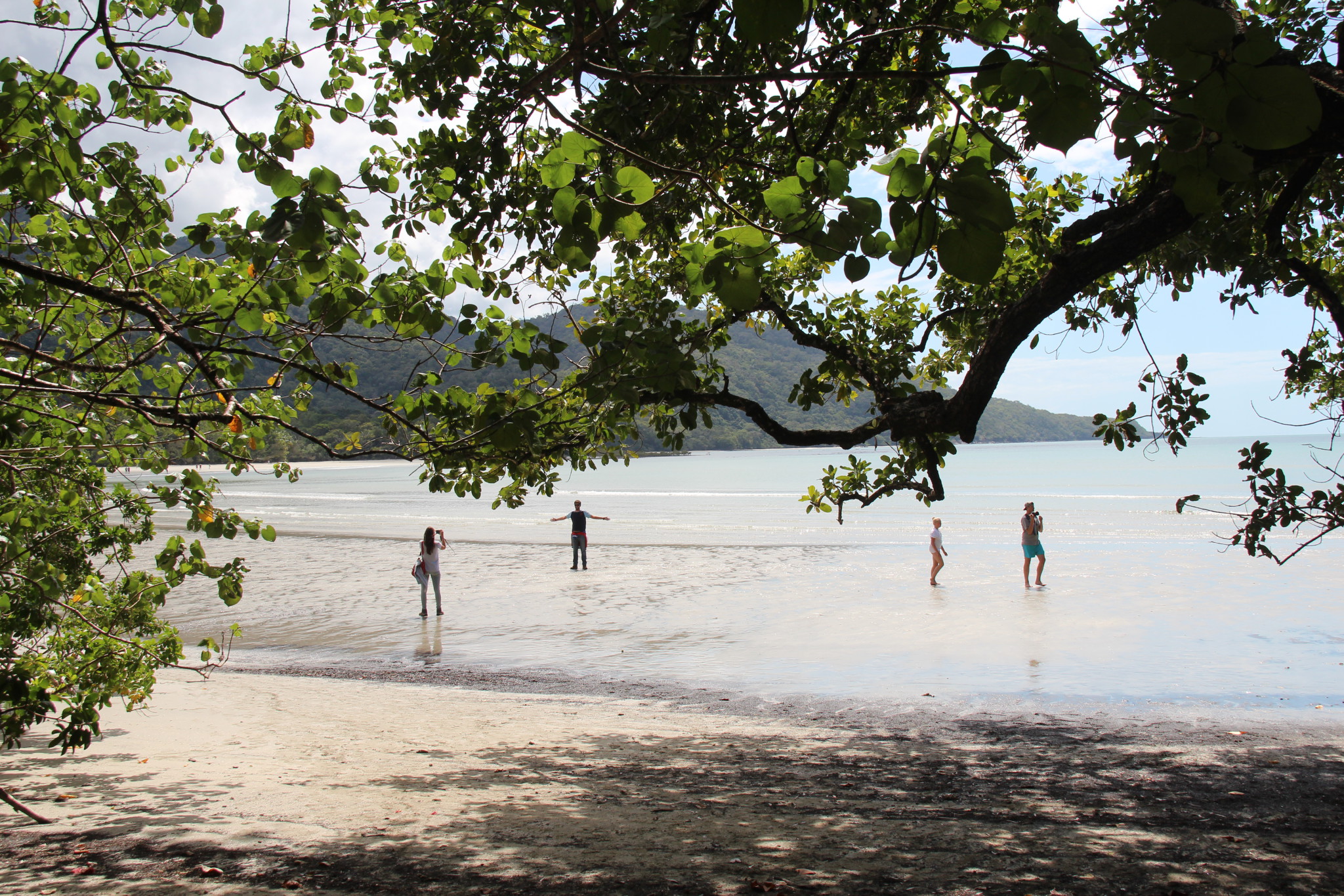 Self drive trip to Daintree Rainforest, Cape Tribulation Beach