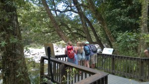 Walking in Mossman Gorge, Daintree
