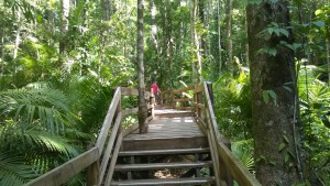 Walking on the Jindalba Boardwalk