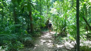 Walking in Mossman Gorge, Daintree National Park