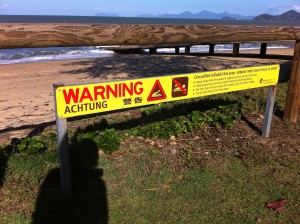 Warning, Palm Cove, Australia