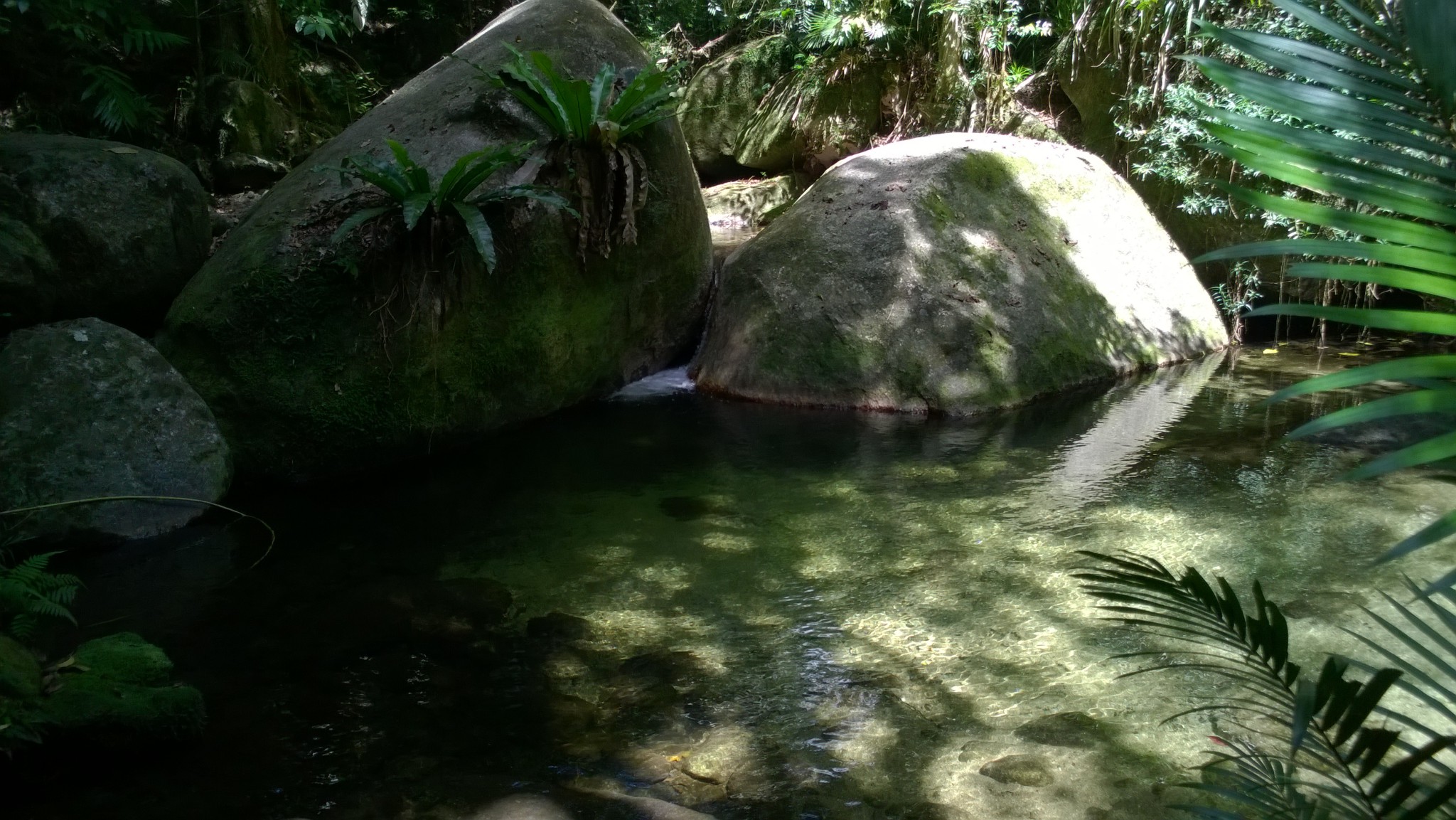 Mossman Gorge