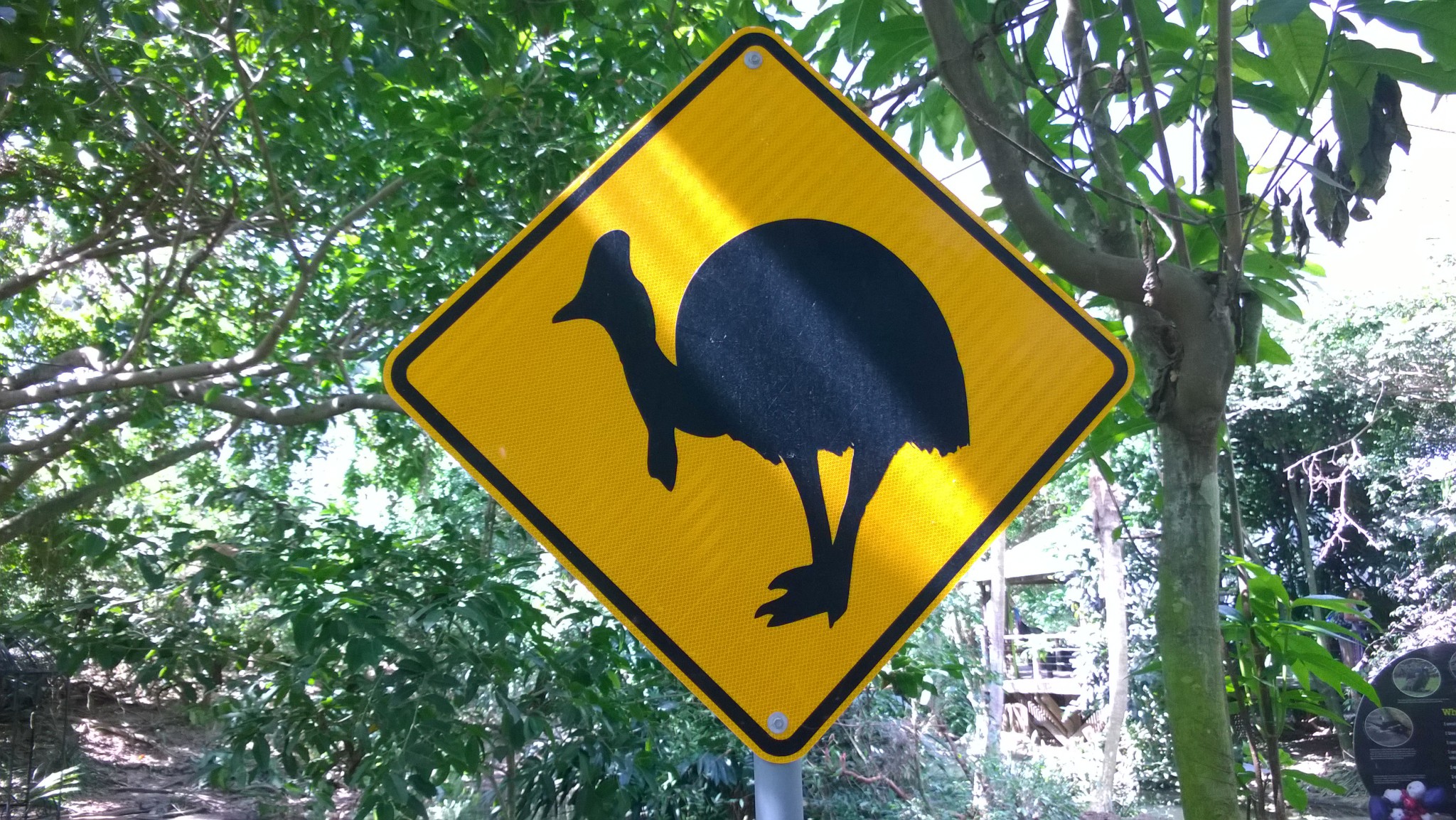Cassowary sign, Daintree Rainforest