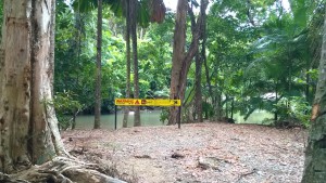Crocodile warning on Bloomfield Track