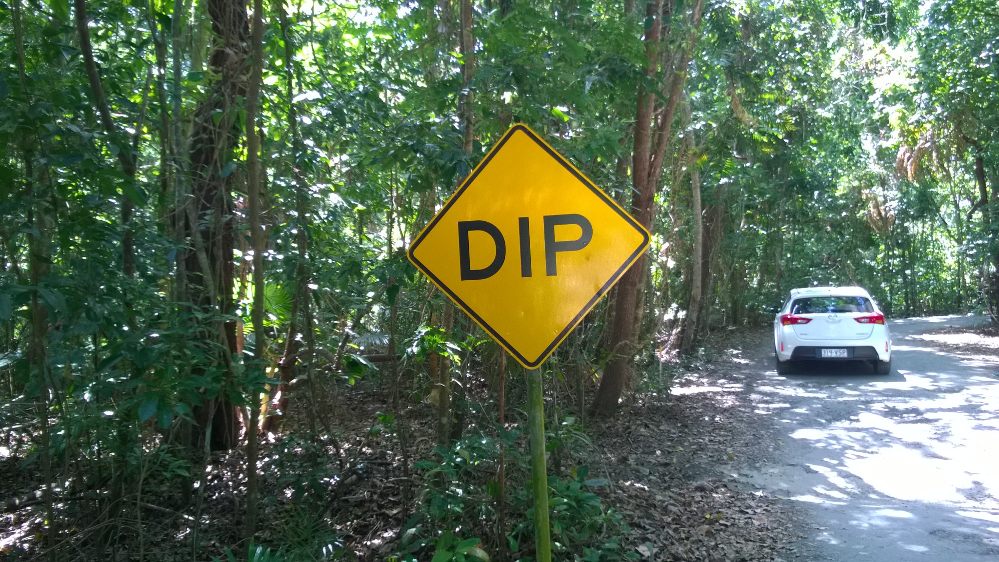 Self drive trip to the Daintree Rainforest: a dip on the road