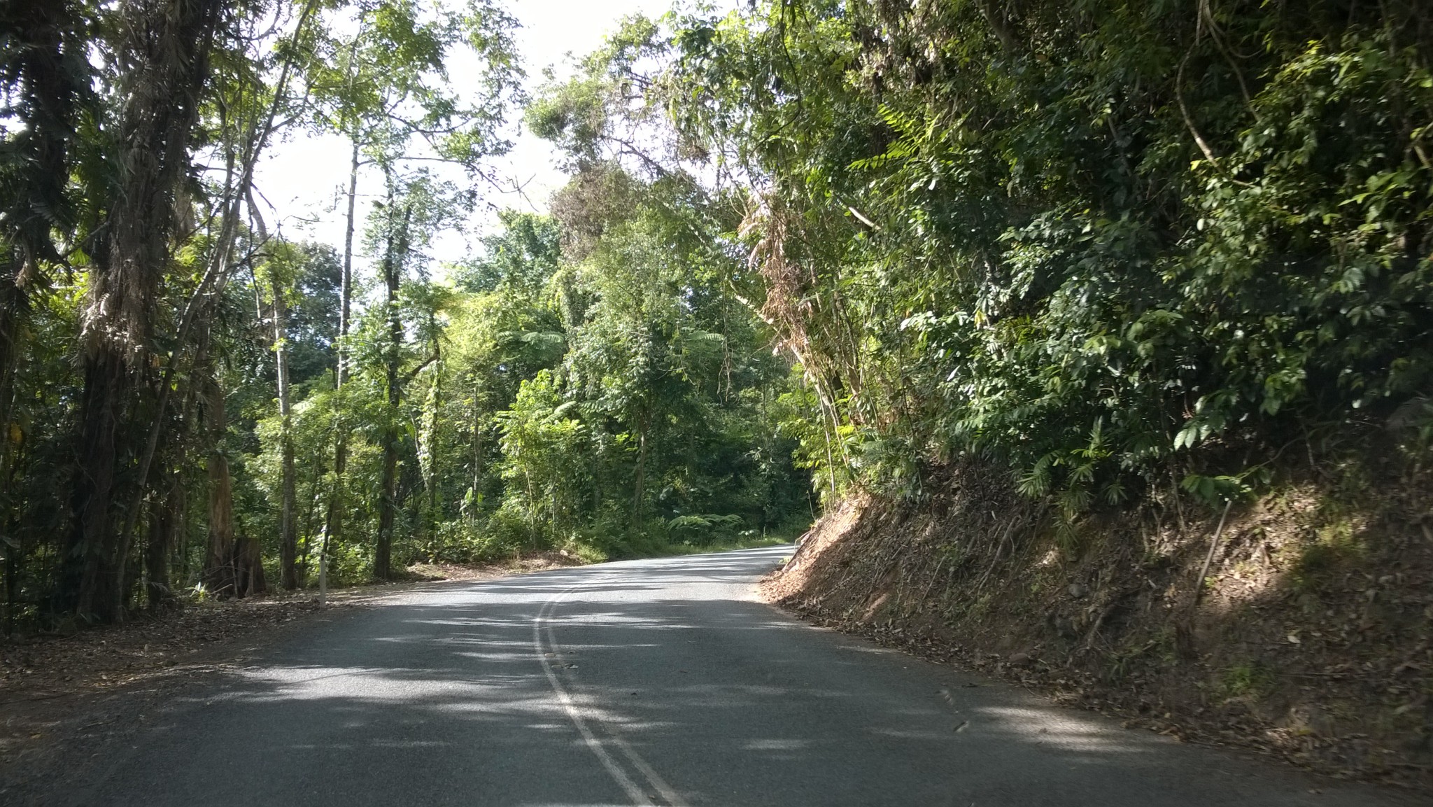 Self drive trip to the Daintree Rainforest