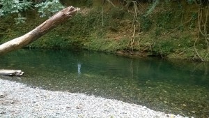 Emmagen Creek swimming hole