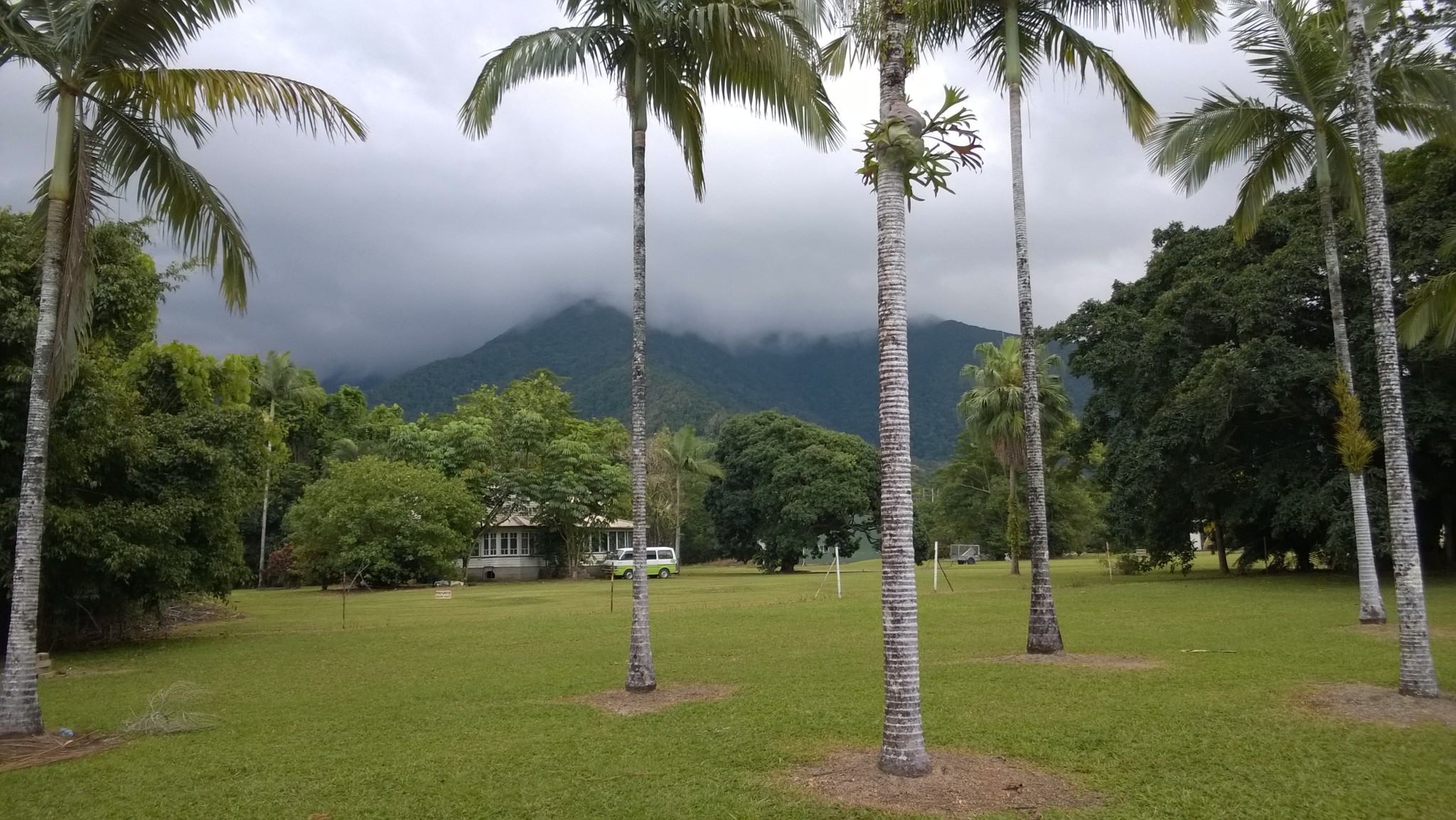 Mason's Store park, Cape Tribulation