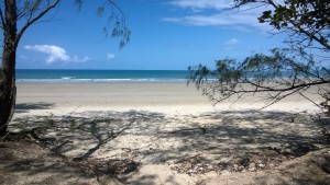 Myalls Beach, Cape Tribulation