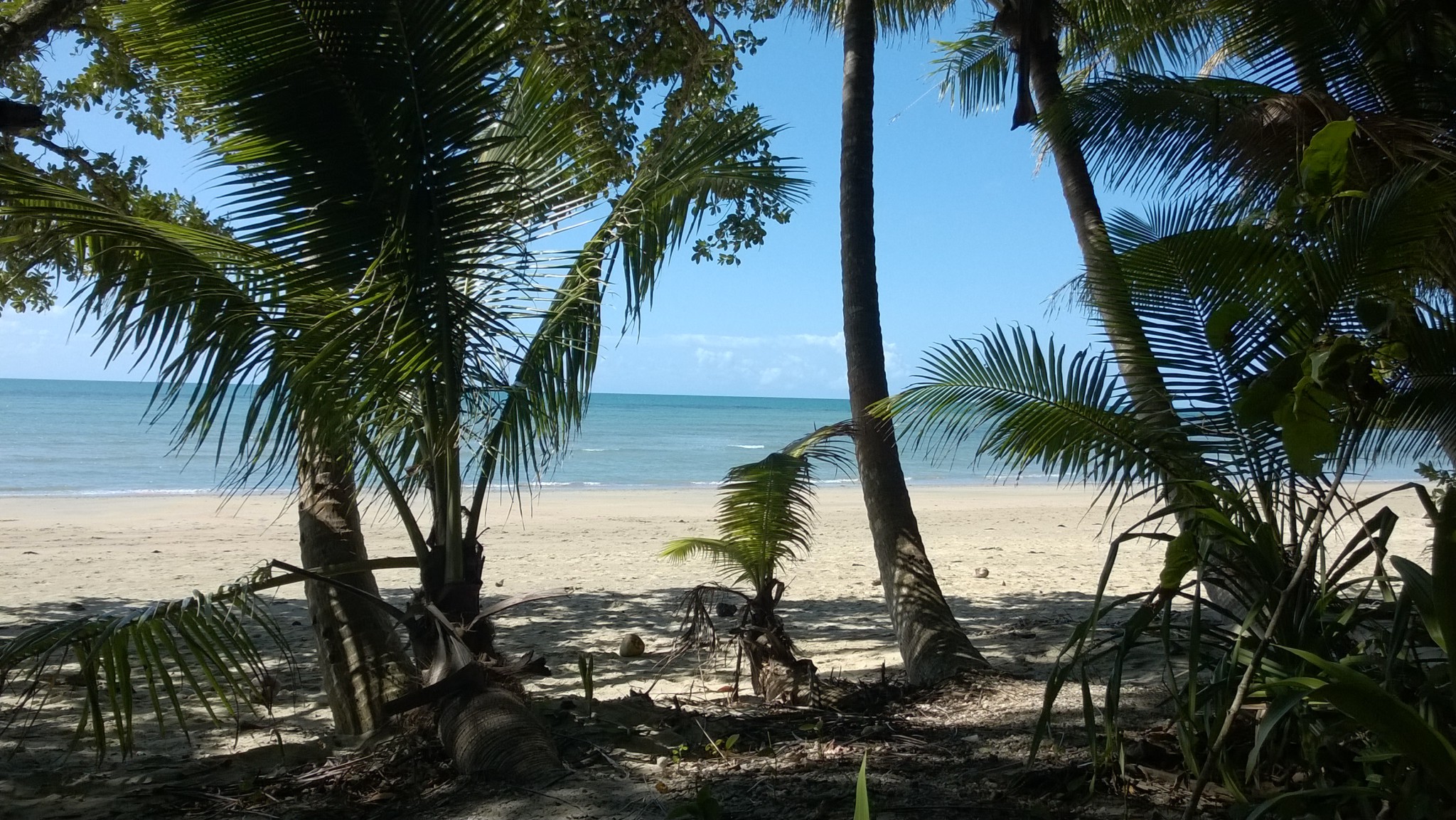 Myall Beach, Cape Tribulation Camping