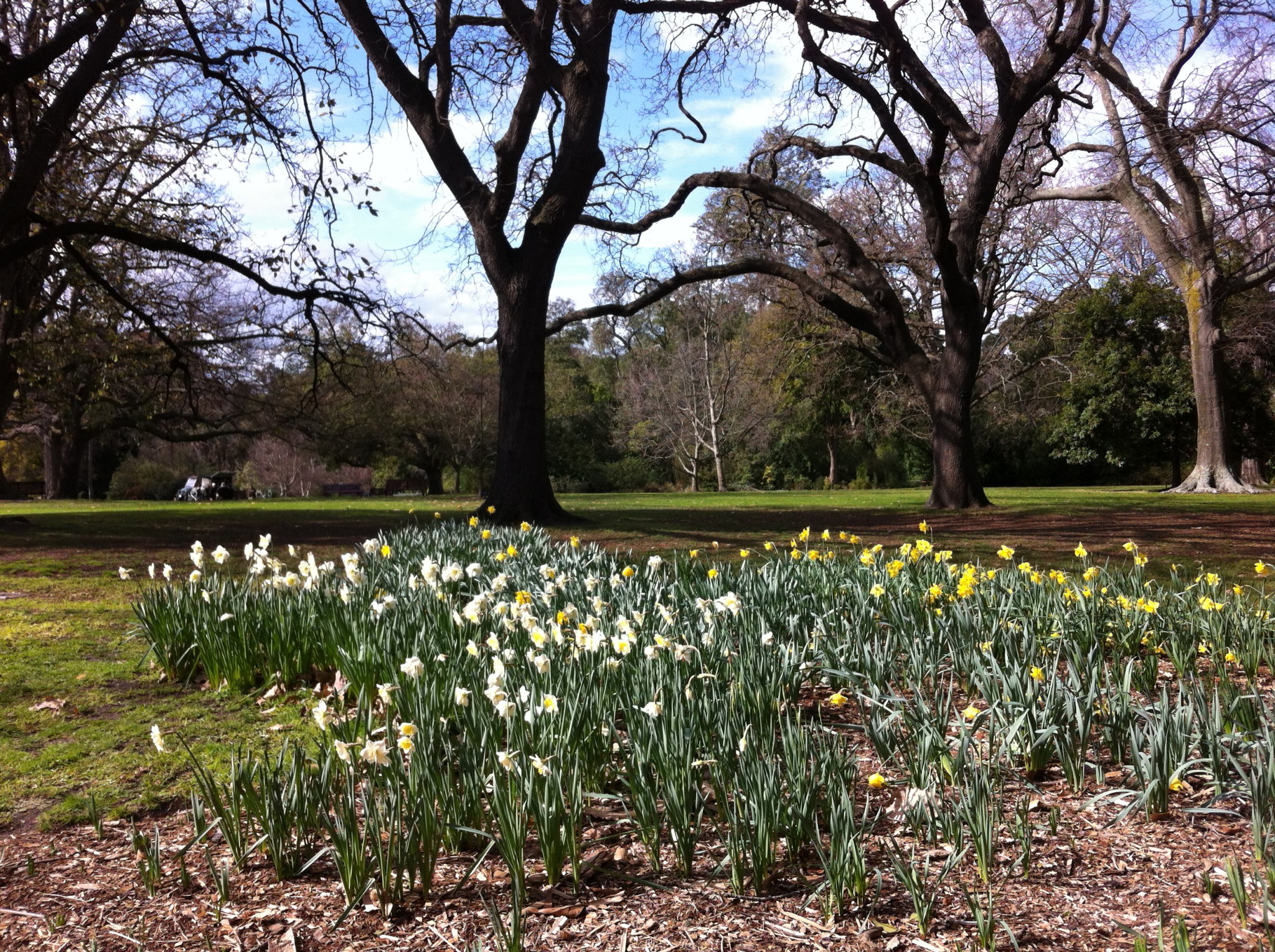 Royal Botanic Gardens, Melbourne