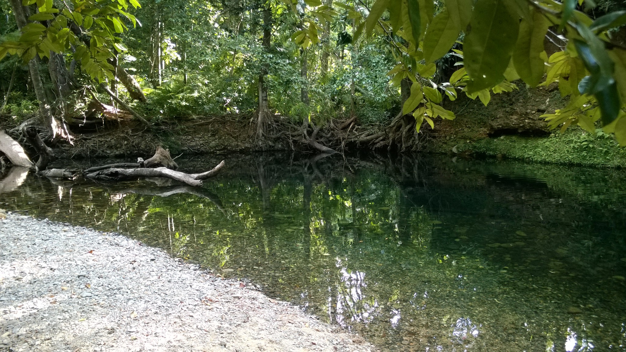 Emmagen swimhole, self drive trip to the Daintree Rainforest