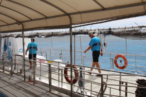 Agincourt Reef pontoon staff