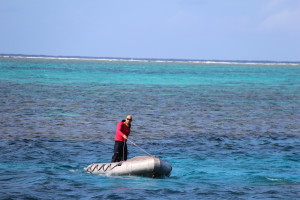 Barrier Reef lifeguard