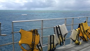 Life vests at Agincourt Reef