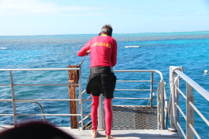 Lifeguard on duty