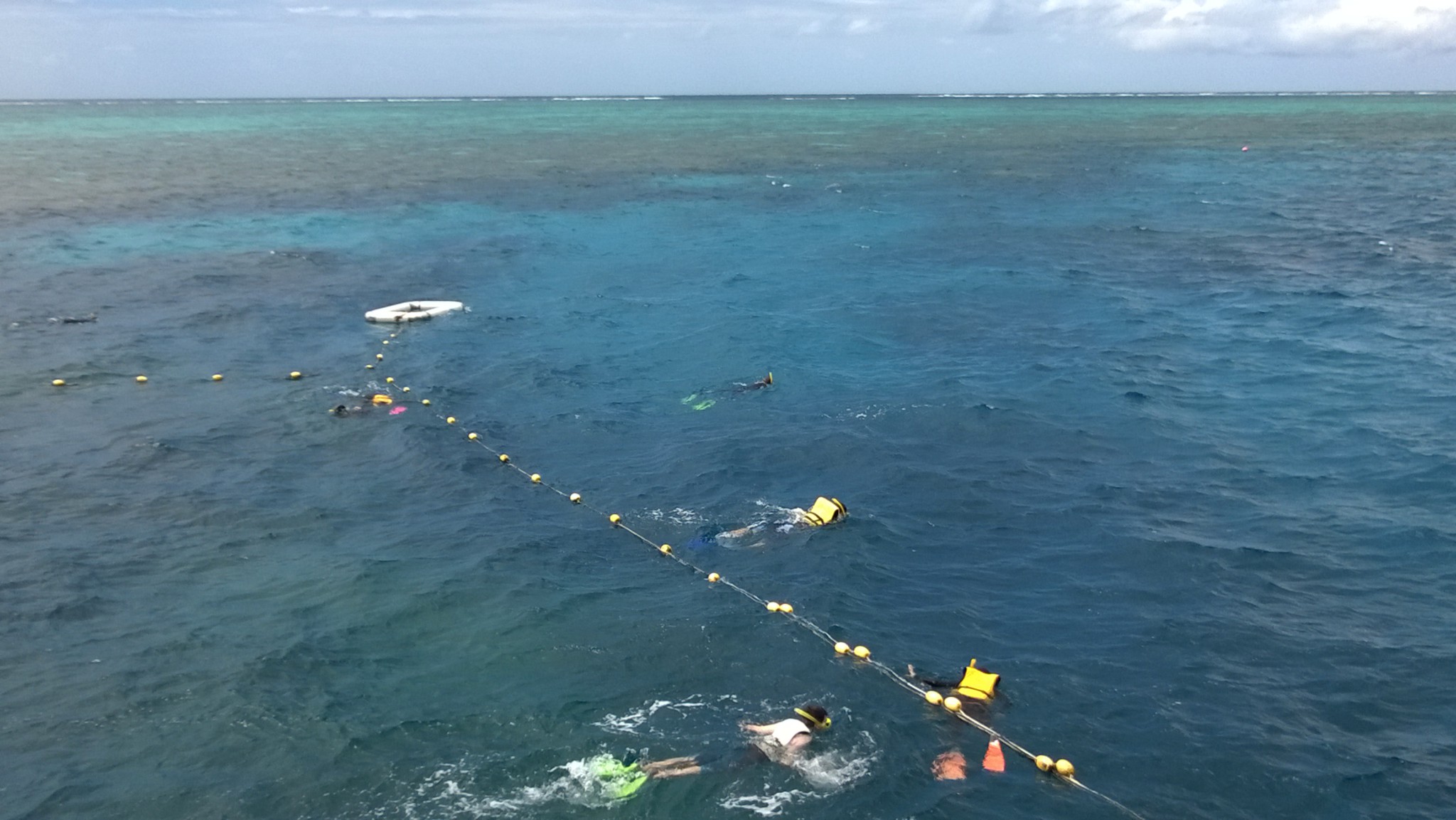 Snorkeling at Agincourt Reef