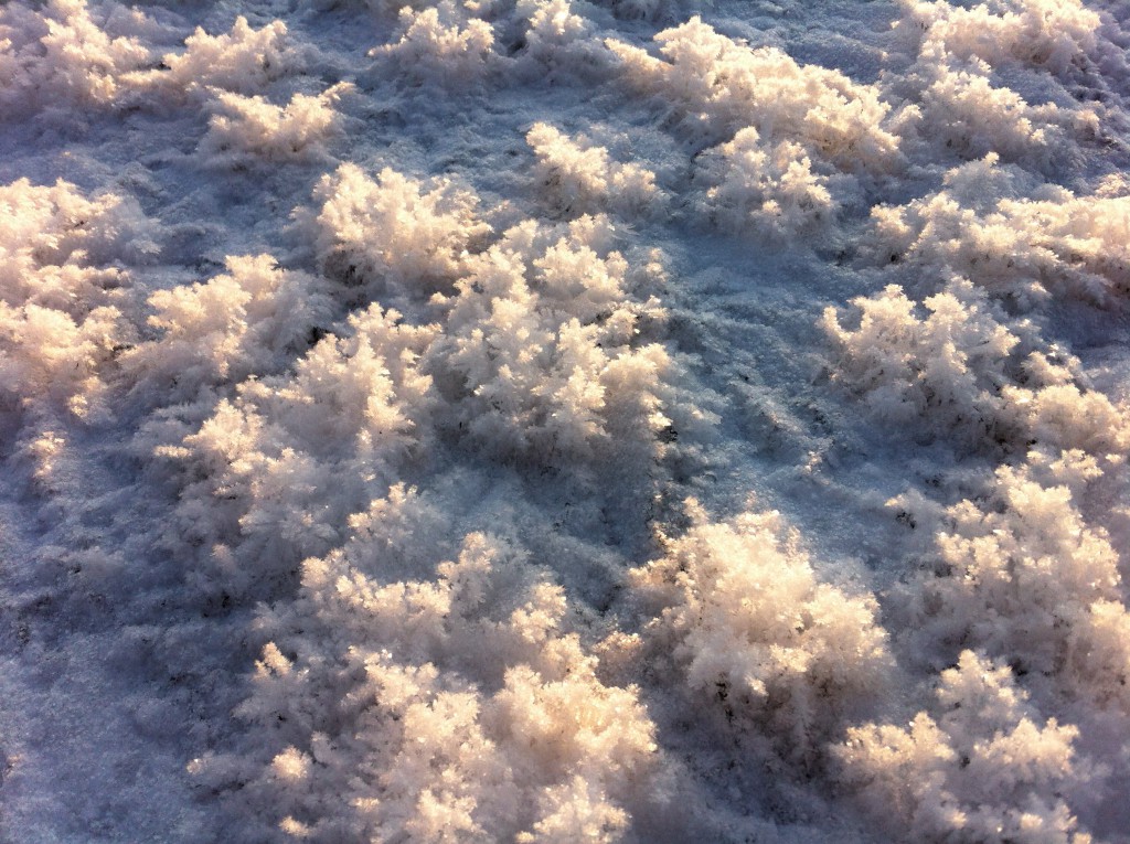 Ice flowers on the lake, Tampere