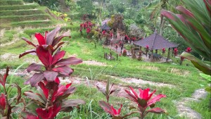 Jatiluwih, Bali