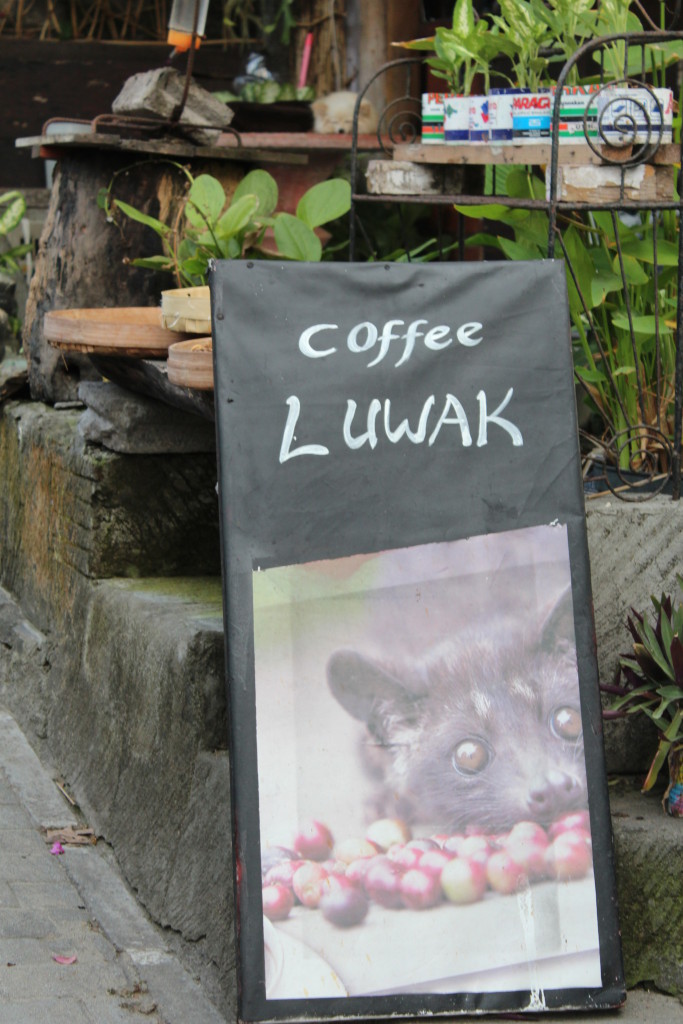 Luwak Coffee Luwak Coffee