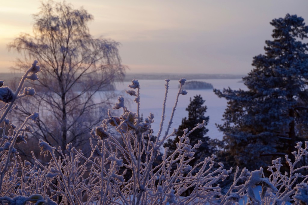 Pispala view, Tampere winter walk