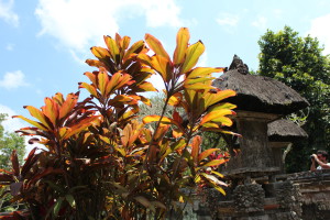 Pura Taman Ayun towers, Bali day trip