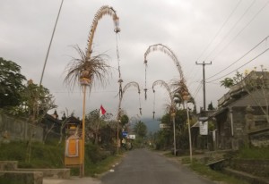 Bali day trip by car: driving through a Bali village