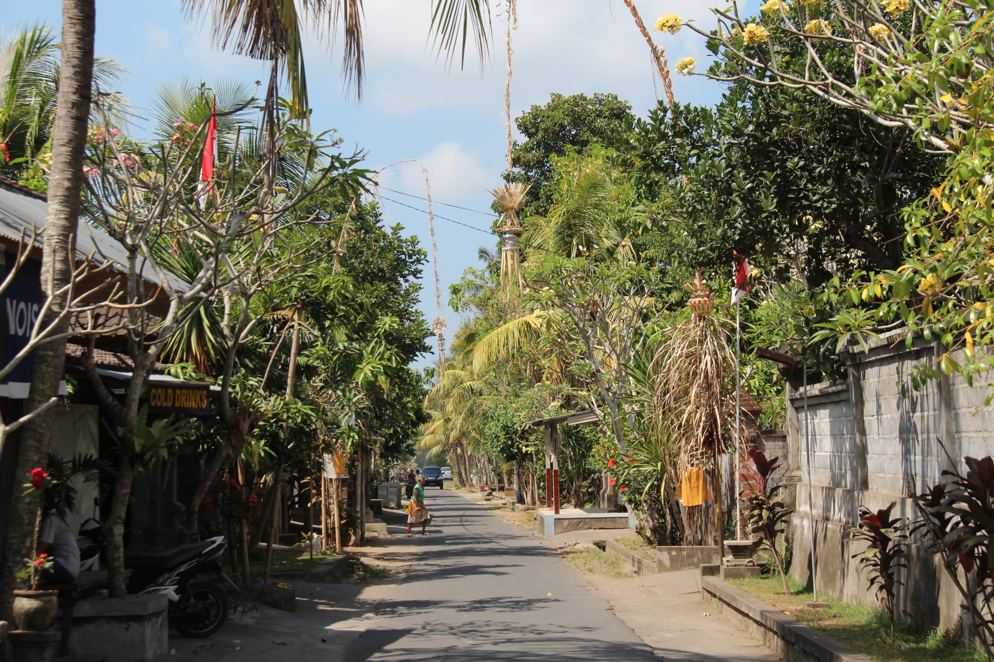 Drive in Central Bali: Bali village road