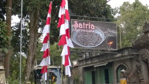 Central Bali day trip: visiting a coffee plantation