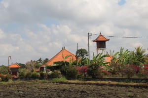 Lush Bali countryside, drive in Central Bali